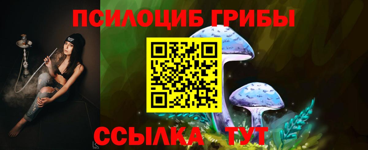 Галлюциногенные грибы Psilocybine cubensis Богородск