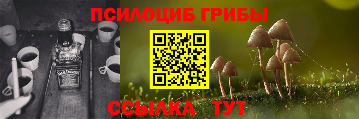 Богородск  Галлюциногенные грибы мицелий  Вход с VPN 