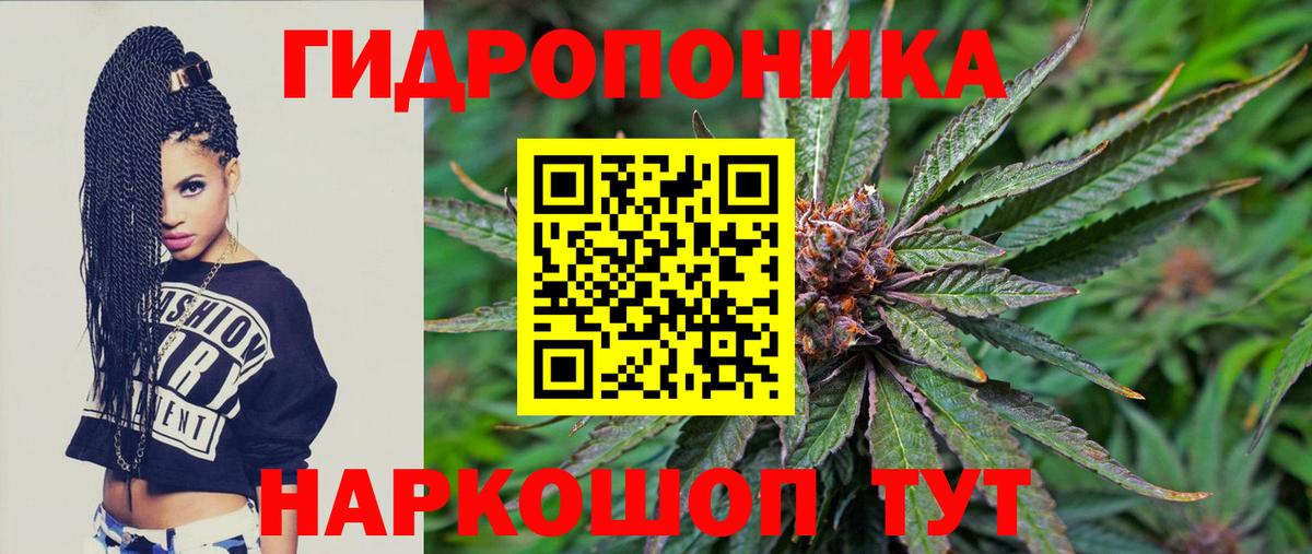Бошки марихуана VHQ  Шишки марихуана планчик  Марихуана конопля  Вход с VPN  Богородск 